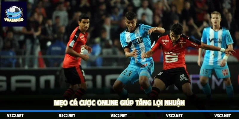 Mẹo cá cược online giúp tăng lợi nhuận