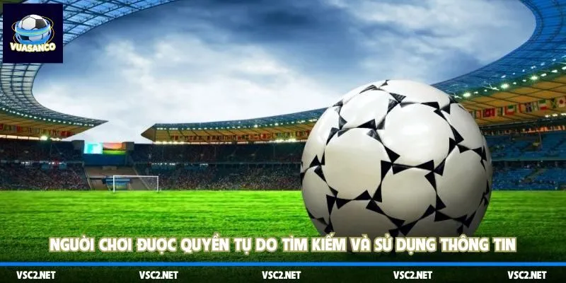 Người chơi được quyền tự do tìm kiếm và sử dụng thông tin