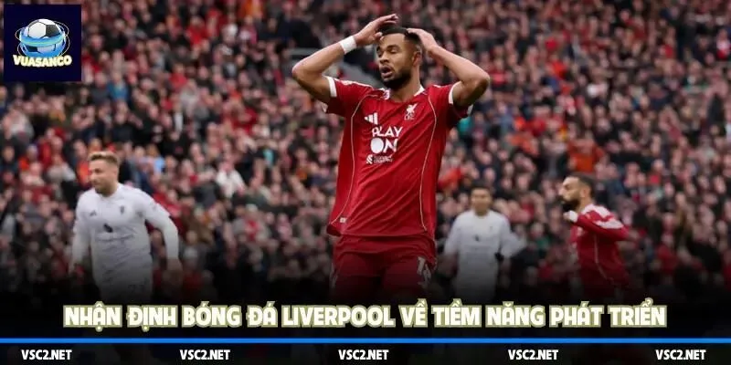 Nhận định bóng đá Liverpool về tiềm năng phát triển