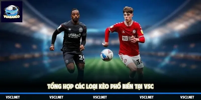 Tổng hợp các loại kèo phổ biến tại VSC