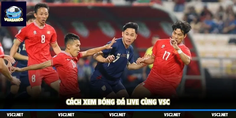 Cách xem bóng đá live cùng VSC