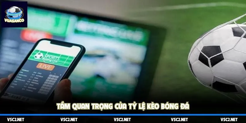 Tầm quan trọng của tỷ lệ kèo bóng đá