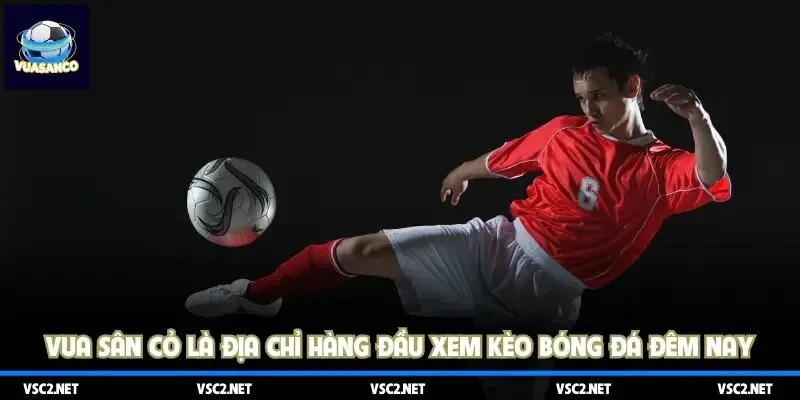 Vua Sân Cỏ là địa chỉ hàng đầu xem kèo bóng đá đêm nay