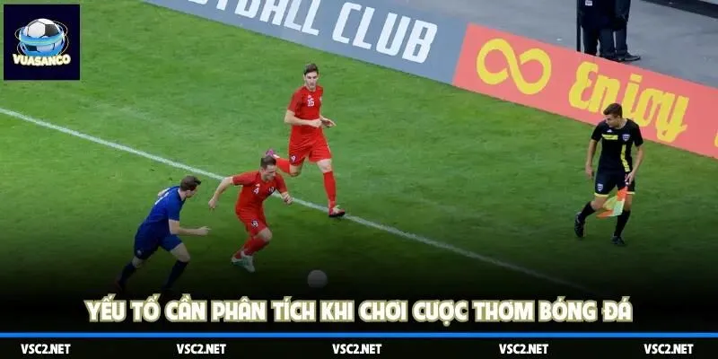 Yếu tố cần phân tích khi chơi cược thơm bóng đá